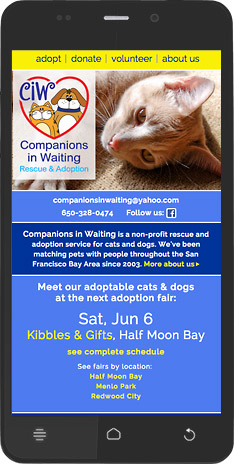 Companions in Waiting mobile site